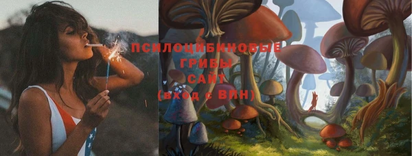 стафф Сатка