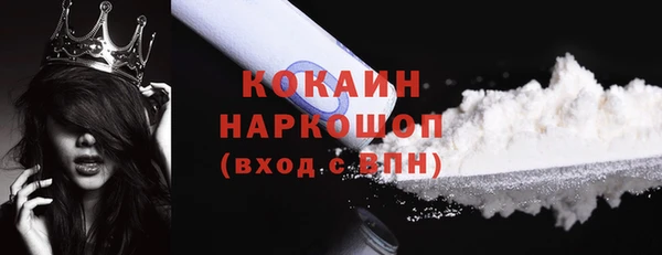 индика Саяногорск